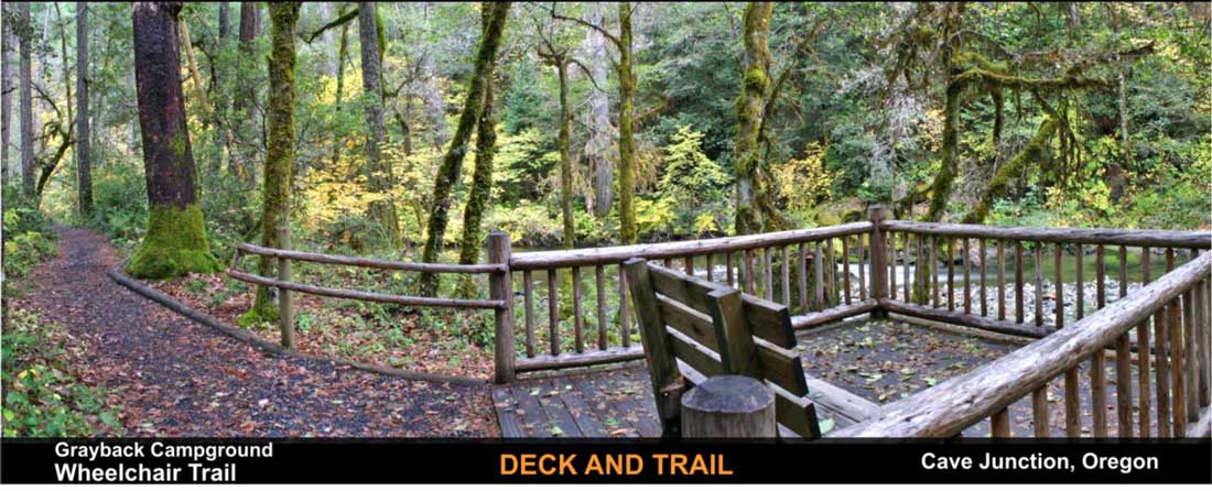 grayback-camp-wheelchair-trail-cave-junction-oregon-3