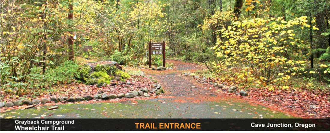 grayback-camp-wheelchair-trail-cave-junction-oregon-7
