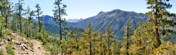 Photo of Black Butte Trail looking into the Siskiyou Wilderness, Cave Junction, Oregon